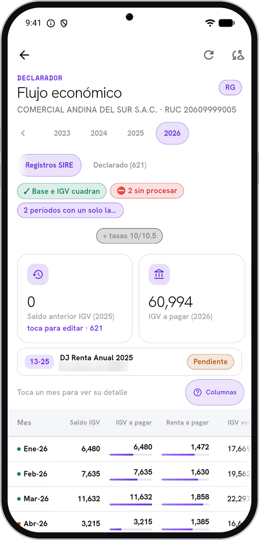 Declarador en la app — flujo económico del año